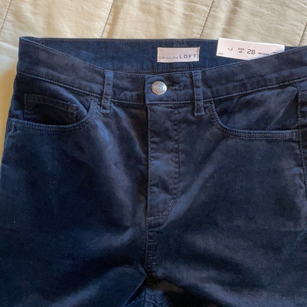 Loft velvet skinny pants